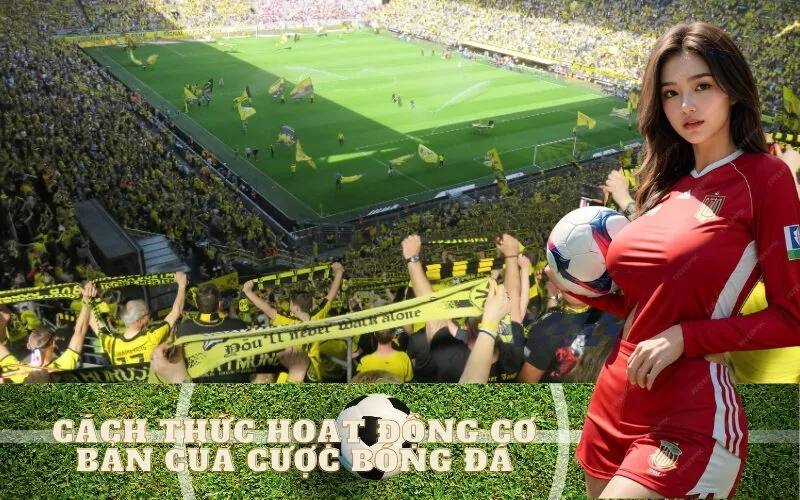 Cách thức hoạt động cơ bản của cược bóng đá